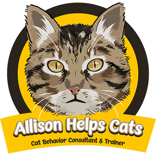 Freelance cat behavior consultant path for those seeking purpose and peace. Ideal for introverts, neurodivergent creatives, and spiritual rebels who want to help animals, work from home, and escape traditional jobs for a calm, aligned lifestyle.