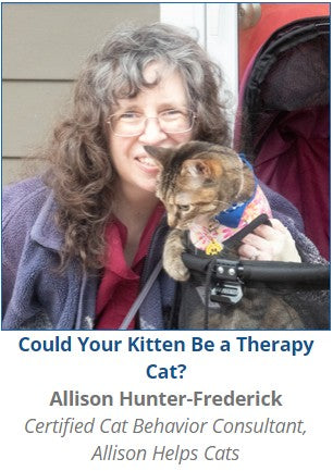 Freelance cat behavior consultant path for those seeking purpose and peace. Ideal for introverts, neurodivergent creatives, and spiritual rebels who want to help animals, work from home, and escape traditional jobs for a calm, aligned lifestyle.