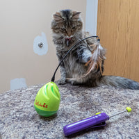 Cat therapy and behavior consulting as a soulful business idea for multipassionate empaths, spiritual introverts, and rebellious lone wolves. Support pets and people while working freelance and living a life of peace, freedom, and purpose.