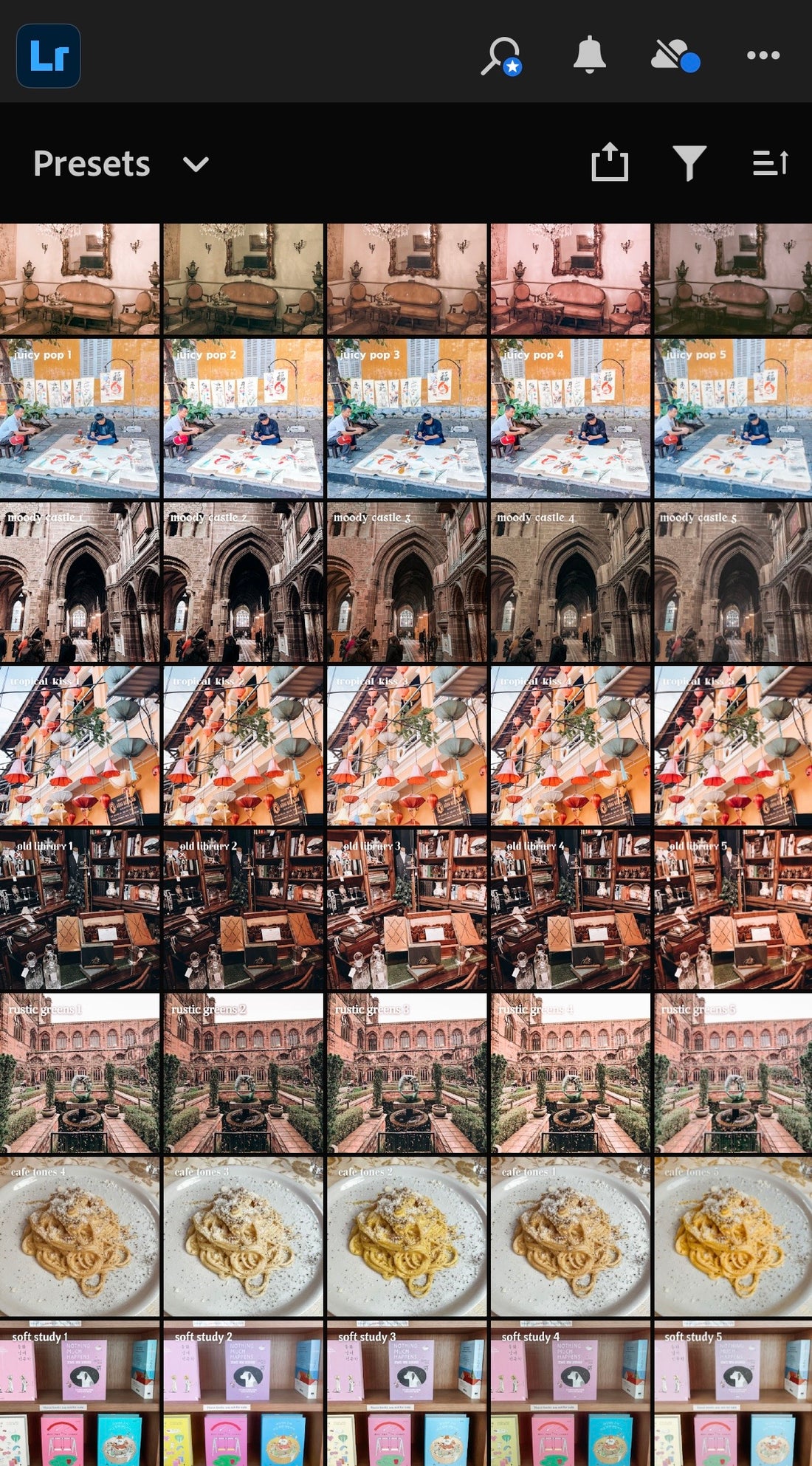 lightroom mobile presets for small business owners