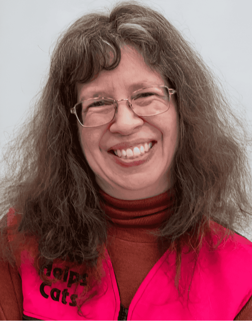 Start a career as a cat behavior therapist—perfect for free spirits, witches, and empaths craving purpose and independence. A unique business idea for introverts, neurodivergent creatives, and those ready to ditch the corporate grind.