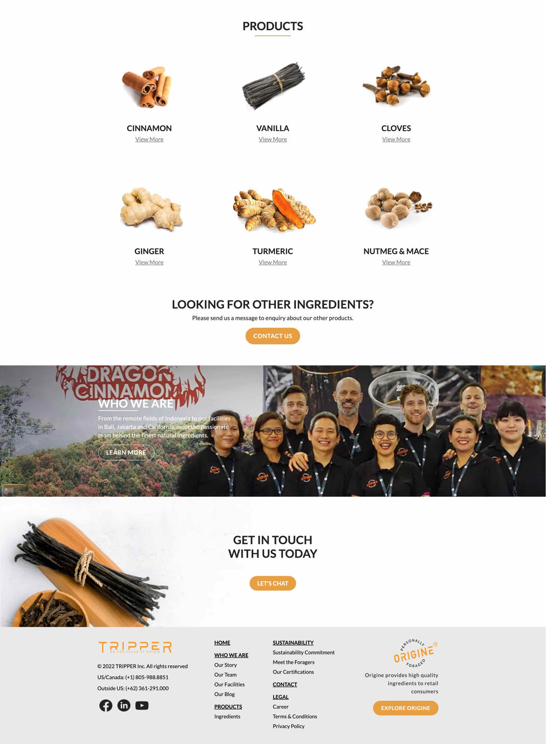 Be your own boss—turn your passion for websites & digital marketing into a profitable business.