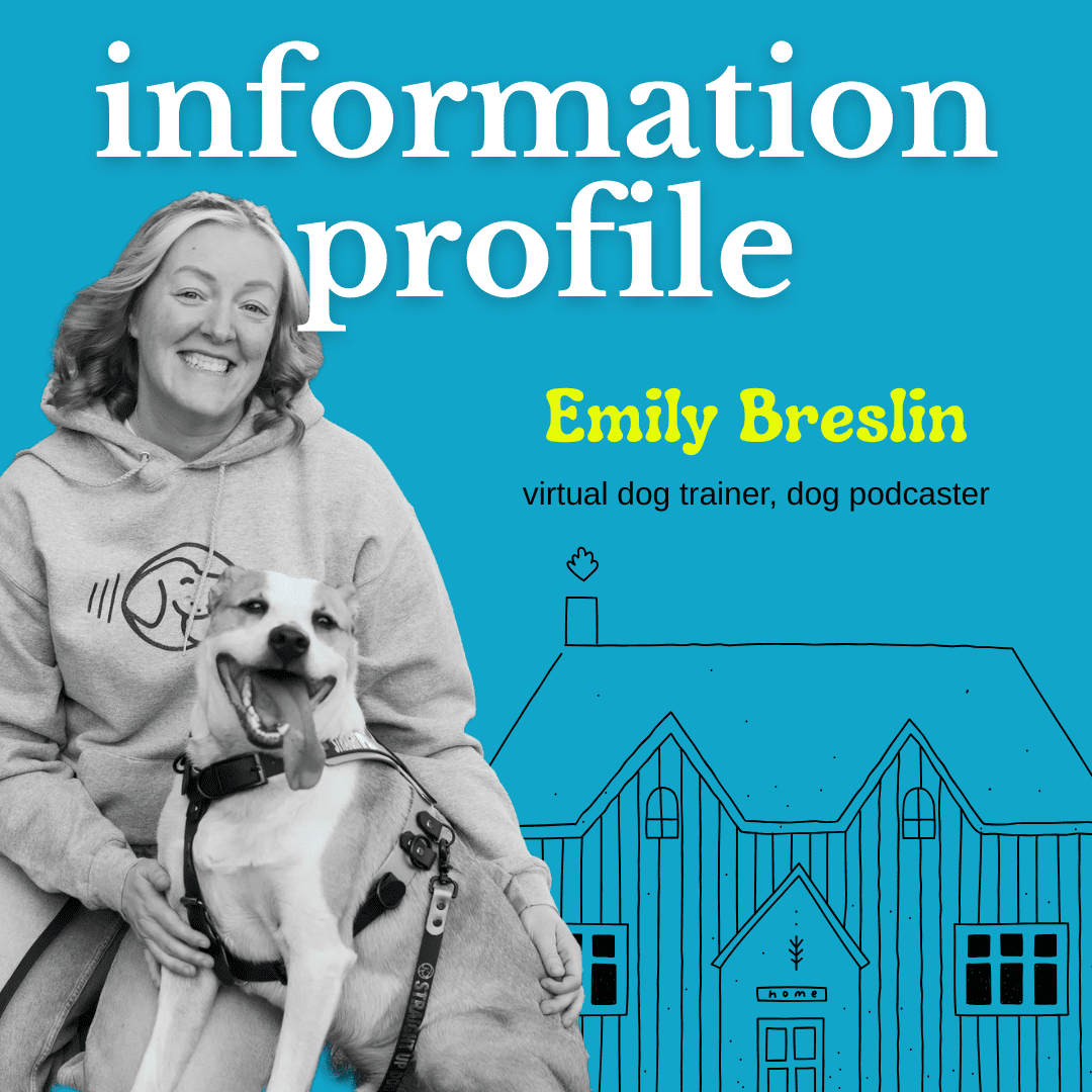 a day in the life of a dog trainer, dog walker, and dog podcaster