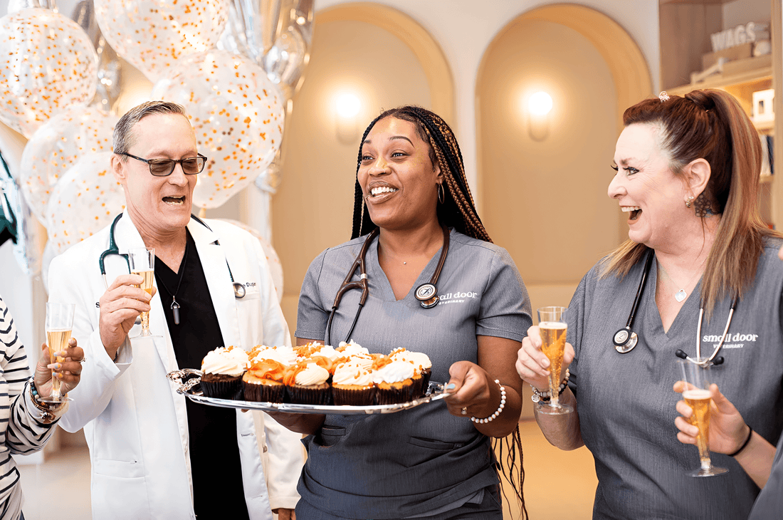 Photography coach offering guidance on how to become a photographer and improve photography skills